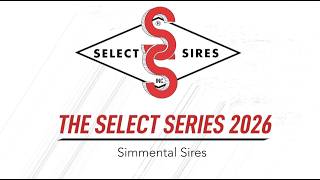 The 2026 Select Series: Simmental Sires