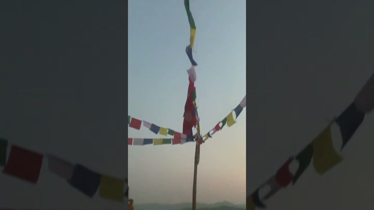 Monkey garden pokhara! 