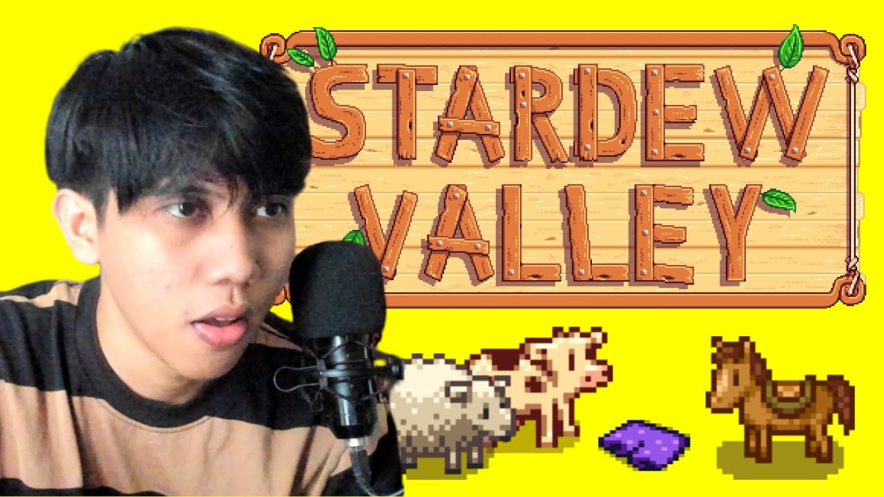 chill-co-op-stardew-valley-hamidduun-youtube