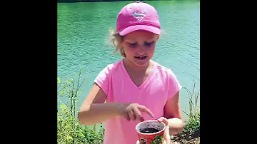 Playing With Worms 