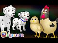 Surprise Eggs Baby Farm Animals Toys | Learn Baby Animals & Animal Sounds | ChuChu TV Kids Surprise