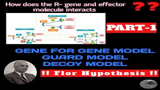Gene for gene concept// Flor hypothesis// Protein for protein hypothesis// genetics of resistance