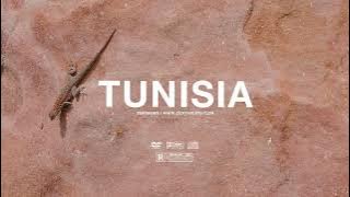 (FREE) Oriental Afrobeat Instrumental 2022 | Wizkid x CKay x Omah Lay Type Beat 'Tunisia'