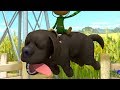 Alien Monkeys 🐵 Dog - Chameleon - Dog 2 - Funny Animation