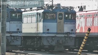 JR貨物 EF65 1127号機 田端運転所に留置中 2011.9