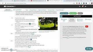 Backyard Then--Poem Analysis--Mr. Brown