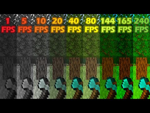 Minecraft 1fps vs 5fps vs 10fps vs 20fps vs 40fps vs 80fps vs 144fps vs 165fps vs 240fps