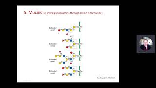 Introduction to BIOS4005 Glycan Biotechnology.    Glycan Types