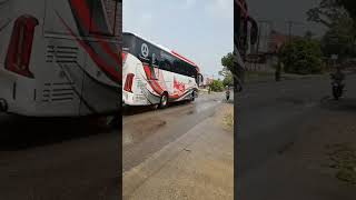 Pt Mutia Putri Muliabus shorts