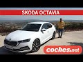 Skoda OCTAVIA | Prueba / Test / Review en español | coches.net