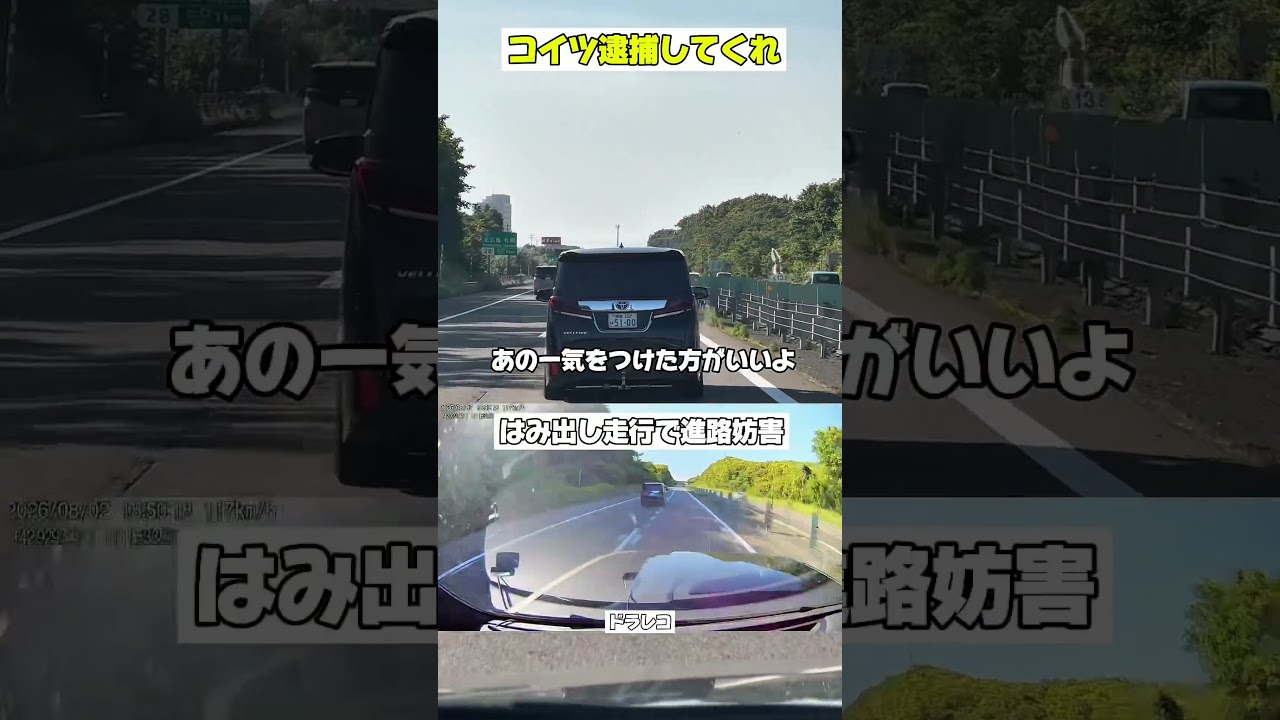 1600万の新車が釧路ナンバーのアルファードに煽り運転された#りっきー社長 #ランボルギーニ