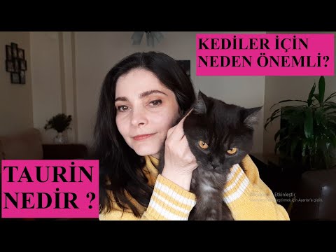 Video: Taurin Nedir Ve Kedilerin Neden İhtiyacı Vardır?