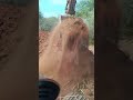 How to dig a  barrier preventing elephants