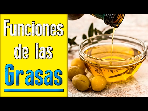 Funciones de las Grasas