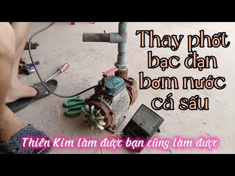 Video Hướng dẫn sửa bơm nước cá sấu chạy yếu và kêu to -... - youtube