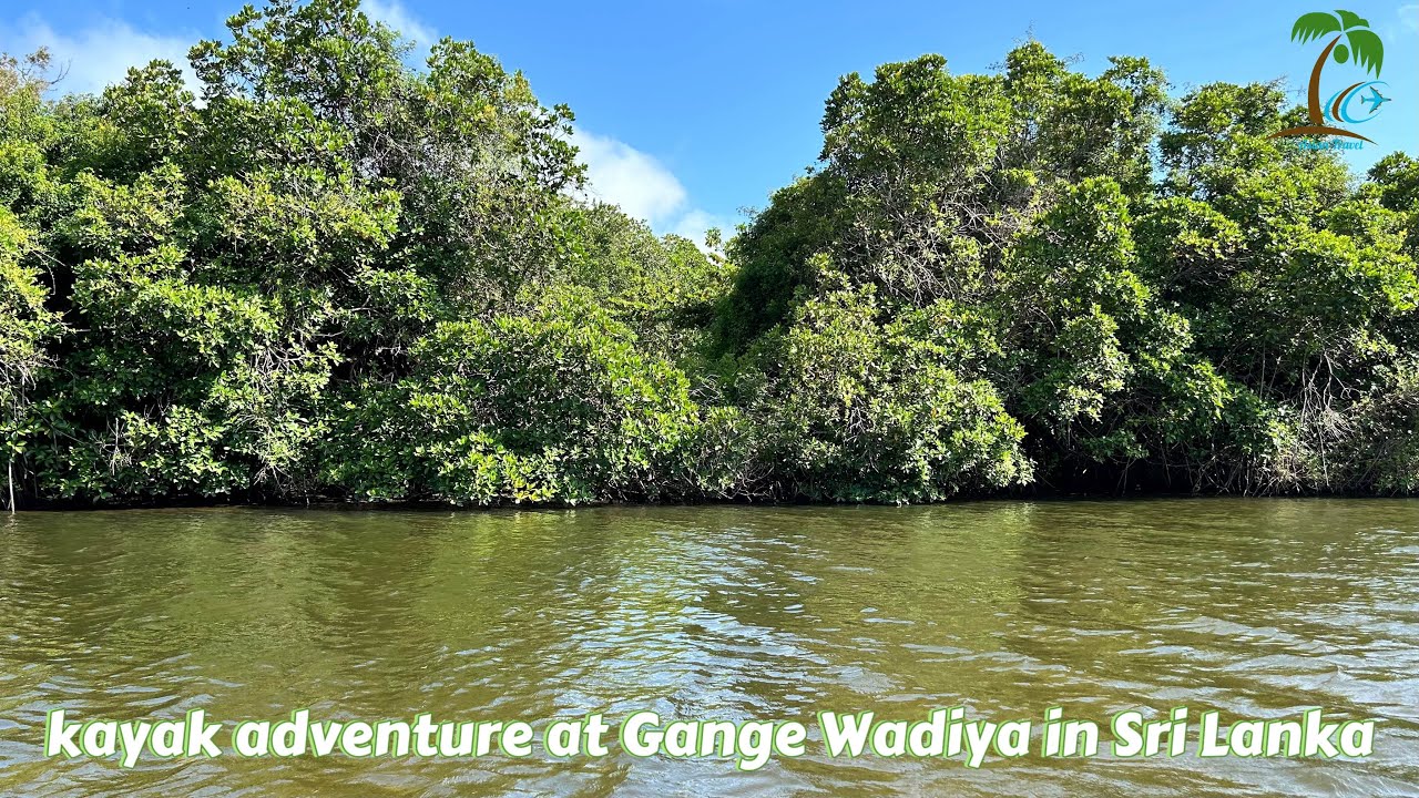 Kayak adventure at Gange Wadiya in Sri Lanka 🇱🇰