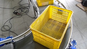 NEXUS Modular Belt Conveyor - Plastic Crate Handling