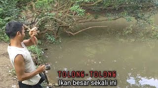 Buzzett..!! narik ikan baung babon sampai 2 orang bergantian