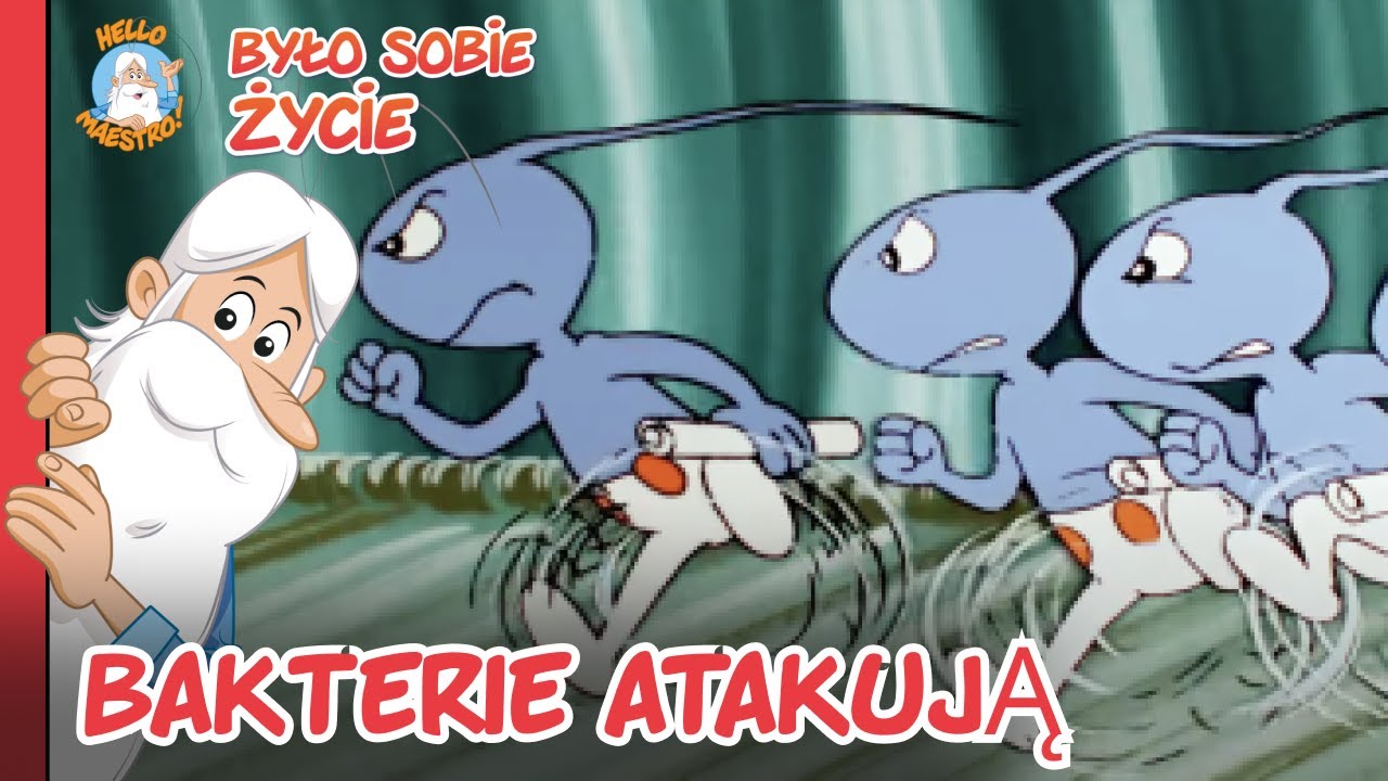 Jak bakterie niszczą zęby i walczą z pastą