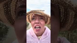 This was fun… kinda