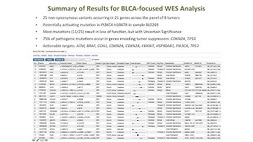NGS Analysis to Insight Workflow for Low Frequency Variant Detection in FFPE Samples