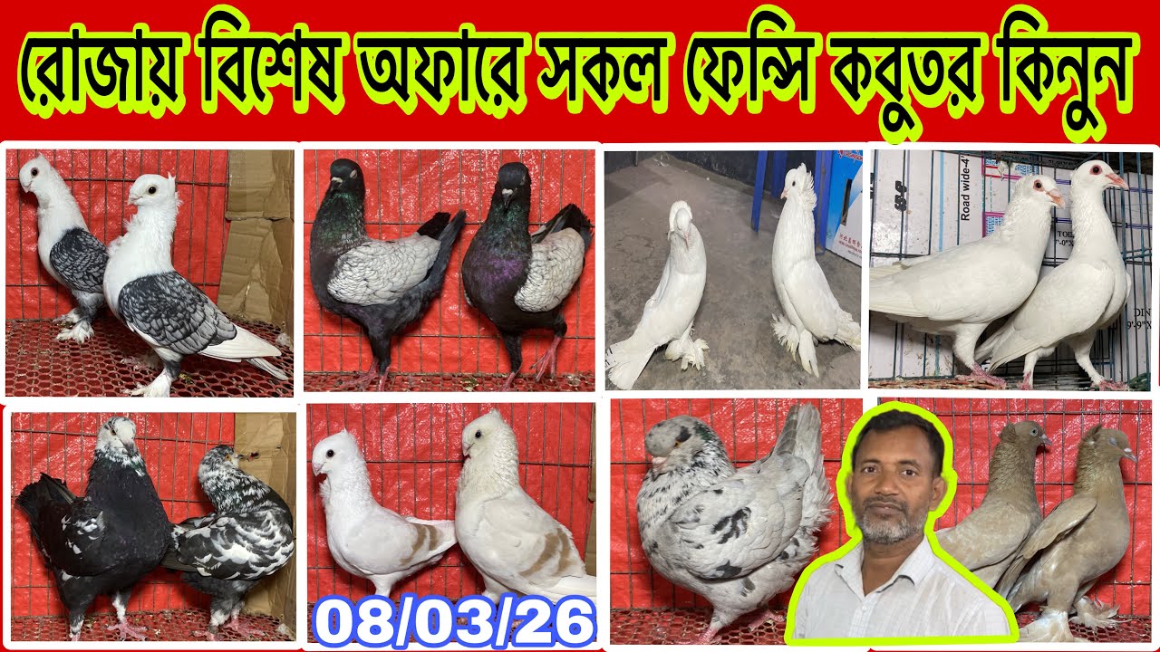 রোজায় বিশেষ অফারে সকল ফেন্সি কবুতর কিনুন 