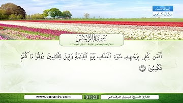 سورة الزمر | تلاوة مباركة من الآية 22 إلى الآية 31 | بصوت القارئ الشيخ نبيل الرفاعي