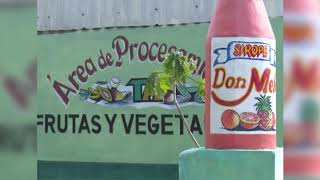 Productores de Tecnoazúcar en Cuba exponen prácticas para la sustitución de importaciones