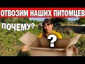 😱КУДА И ПОЧЕМУ ОТВОЗИМ НАШИХ ПИТОМЦЕВ?! Как они жили с нами/ Турецкая деревня - Хозяйство/ Анталия