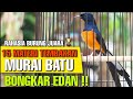 Tembakan Murai Batu Trah Sabang Mp3 - Mp4 Download