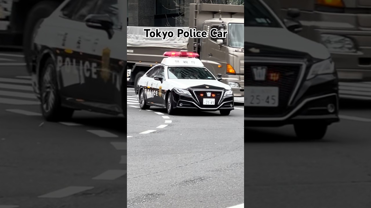 Toyota Crown Police Car In Action - Tokyo Metropolitan [2026年3月