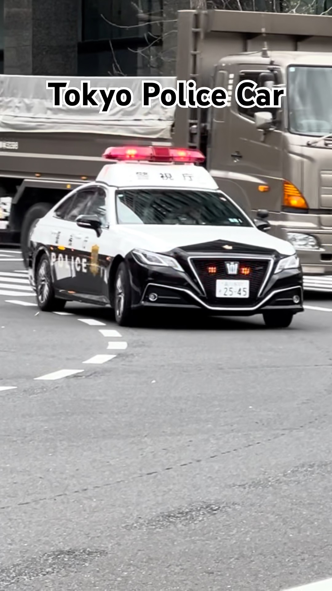 Toyota Crown Police Car In Action - Tokyo Metropolitan [2026年3月
