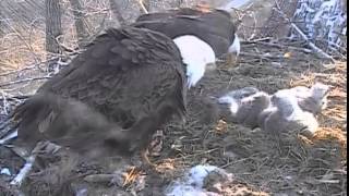 Decorah Eagles,Two Floppy Fish \& Family Breakfast,4\/17\/15