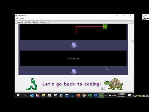 Draw Shapes Using Turtle Graphics Functions in Python, Computer Science Lecture | Sabaq.pk
