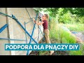 Metamorfoza Ogrodu Warzywnika - Podpora Trejaż na Ogrodowe Pnącza
