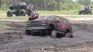 SUNKEN SUNDAY OLD SCHOOL BOGGIN PLANT BAMBOO 2024