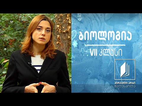 ბიოლოგია VII კლასი - მცენარეთა სუნთქვის თავისებურებები; ნივთიერებათა ტრანსპორტი მცენარეებში