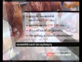 Chicken price hits roof Kerala
