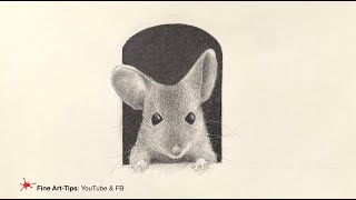 HOW TO DRAW A MOUSE - TIMELAPSE