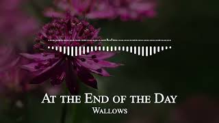 Wallows - At the End of the Day
