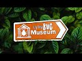 Itsy Bitsy Bug Museum: All Bug Videos