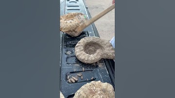 Ammonite cleanup #asmr #excavator #fossil