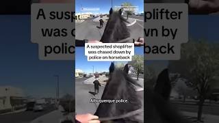 Shoplifter tries to outrun police on horseback