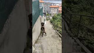 Burada Sokaklar Fazlaca Kovalar Memurlar