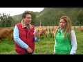 EMPRESARIOS DEL CAMPO RAZA JERSEY 29-07-17