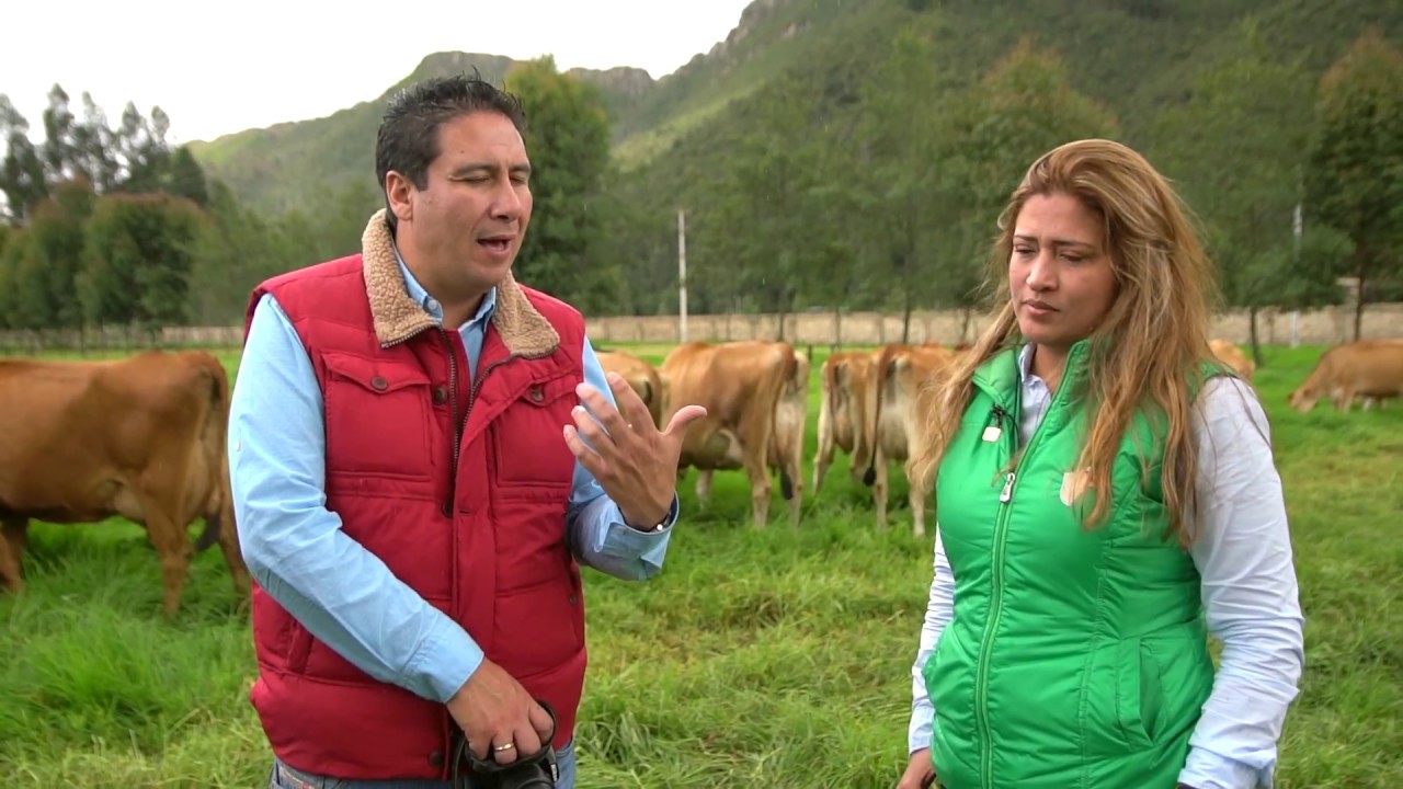 EMPRESARIOS DEL CAMPO RAZA JERSEY 29-07-17