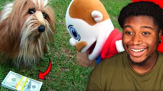 THIS DOG POOPS MONEY! | SML Movie: Mr.Goodman's Dog!