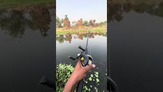 Hook 🪝 Fas Gaya Grass me 🐠🎣🐊#fishing #fishinglife #shorts #viral