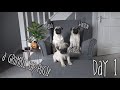 Stanley Meets Pablo & Winston | Day 1 Part 2