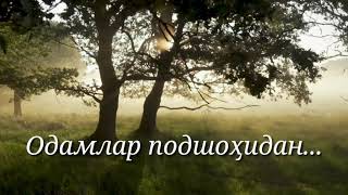 Ан-Наас - Раад Мухаммад аль Курди